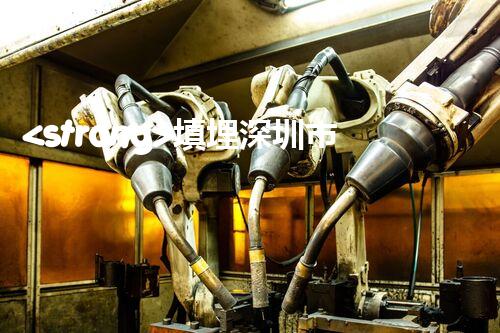 <strong>填埋深圳市危險(xiǎn)廢物處理站有限公司化工設(shè)施安全解體：如何高效處理復(fù)雜工業(yè)遺留問(wèn)題？</strong>